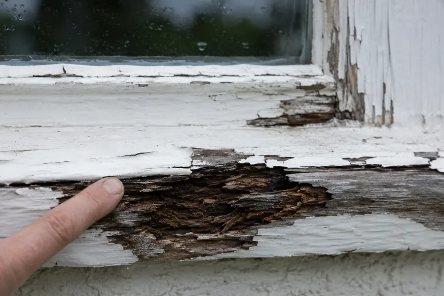 uPVC, Aluclad or Timber Windows